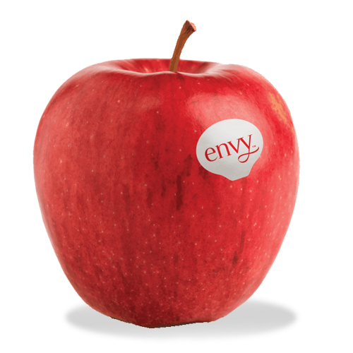 New Zealand Envy Apple (4pcs) - Skcfruits